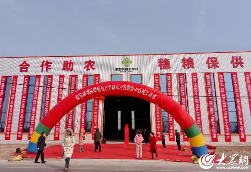 千成供销如何在竞争激烈的市场中脱颖而出?
